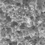 Tiny polymeric particles that bind pollutants from the water are imbed-ded in the porous carrier structure of the membrane adsorbers © Fraunhofer IGB