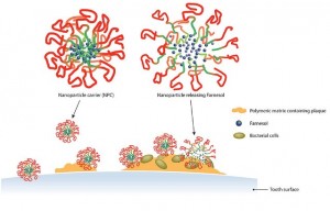 Farnesol is released from the nanoparticle carriers into the cavity-causing dental plaque. (Graphic by Michael Osadciw/University of Rochester)