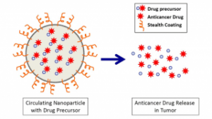 The nanoparticle protects its payload until it reaches a tumor, where its bioengineered contents act as a potent drug. 